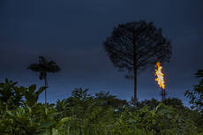 Las extracciones petrolíferas se ubican en algunos casos en el mismo corazón de la selva de Ecuador (foto: Jaime Culebras). Las extracciones petrolíferas se ubican en algunos casos en el mismo corazón de la selva de Ecuador (foto: Jaime Culebras).