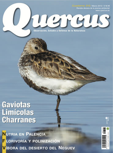 Portada Quercus nº 313 / Marzo 2012  