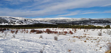 Paisaje de la comarca del Maestrazgo (Teruel-Castellón). Una de las condiciones del rewilding es la existencia de extensos espacios naturales con baja densidad de población humana (foto: Equipo Técnico del Parque Natural de Penyagolosa).