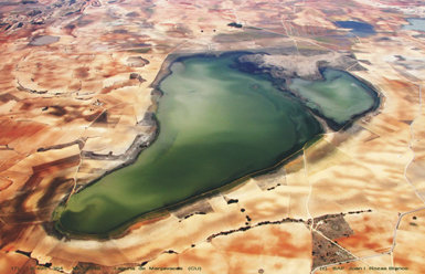 Vista aérea de la laguna salina de Manjavacas. El color del agua denota su actual carácter hipertrófico, derivado de los aportes de aguas tratadas y no tratadas procedentes de Mota del Cuervo (Cuenca). Foto: S.A.F. / Juan I. Rozas.