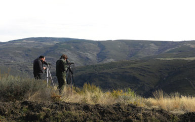 : Dos ornitólogos observan con sus telescopios durante las labores de seguimiento del águila real en sus zonas de cría en Galicia.
(foto: Luis Tapia
