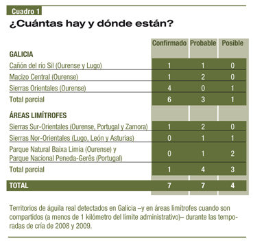 El águila real en Galicia: viviendo en el límite