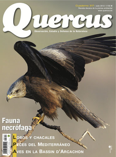 Portada Quercus nº 317 / Julio 2012 