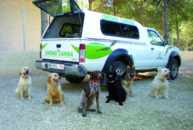 Perros de la patrulla canina especializada en la detección de venenos que opera en Castilla-La Mancha desde 2007 (foto: Junta de Castilla-La Mancha).