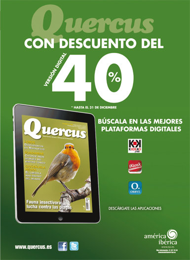 Quercus digital descuento del 40%