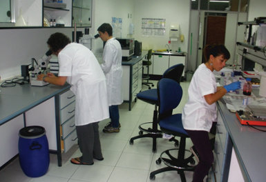 Laboratorio de la sede que AZTI-Tecnalia tiene en la Reserva de la Biosfera de Urdaibai. Las dos investigadoras a la izquierda de la fotografía son Aizkorri Aramburu (en primer término) y Estibaliz Díaz, ambas del proyecto Recang (foto: José Antonio Montero).