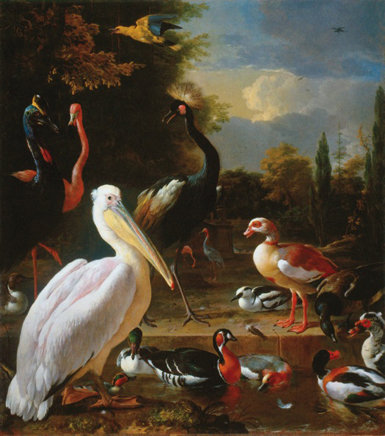 Pelícano y otras aves junto a un estanque (hacia 1680), óleo sobre tela de Melchior de Hondecoeter. La obra se conoce también como La pluma flotante, por el detalle fielmente reflejado en el ángulo inferior derecho (Rijksmuseum, Ámsterdam). 