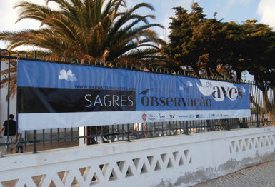 Sede del Festival Observação de Aves, en las antiguas escuelas públicas de Sagres.