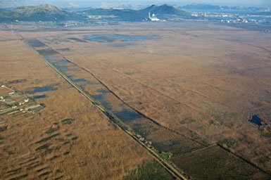 S’Albufera,  ante el reto de mejorar  la calidad de sus aguas 