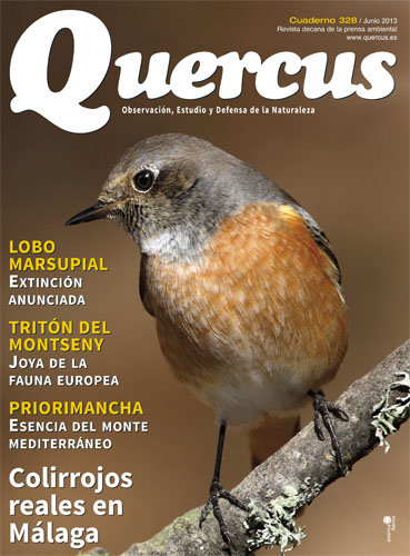 Portada Quercus nº 328 / Junio 2013