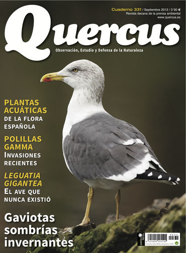 Portada Quercus nº 331 / Septiembre 2013