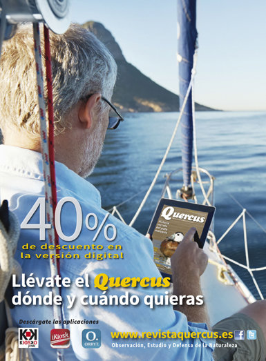 Quercus digital descuento del 40%