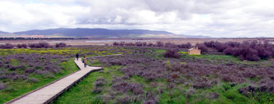 Panorámica de las Tablas de Daimiel, zona núcleo de la Reserva de la Biosfera de la Mancha Húmeda (foto: Jesús Montarroso).