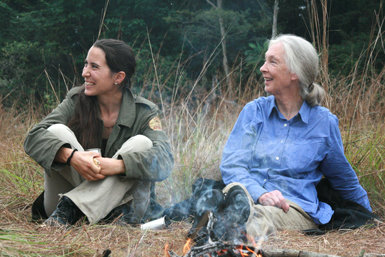 “Después de años buscando, por fin hemos hallado un sitio para reintroducir chimpancés”