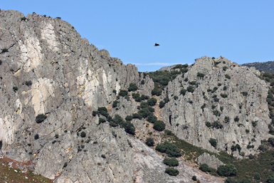 A la derecha, riscos cuarcíticos en el término municipal de Cabañas del Castillo (Cáceres), en la sierra de Las Villuercas.