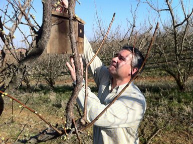 José Mª Rey Benayas, presidente de FIRE, coloca una caja nido para aves insectívoras en la finca “Concejiles”, en La Zarza (Badajoz). Foto: FIRE.