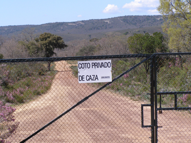 Camino en un coto de caza. En Castilla-La Mancha se prevé un incremento sustancial de subvenciones a la caza que se emplearán en crear infraestructura cinegética incluso en zonas de máxima protección ambiental (foto: Miguel Ángel Hernández).