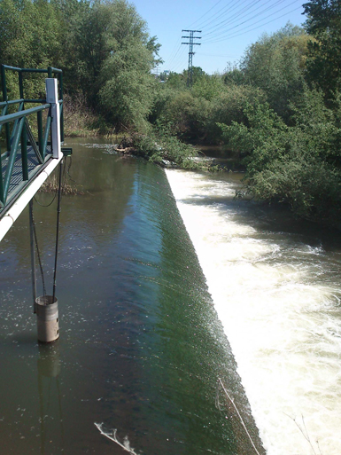 Azud en el río Jarama, entre las localidades madrileñas de San Sebastián de los Reyes y Algete. Sin escala para peces, muy pocos barbos pueden remontarlo (foto: Antonio Martínez).