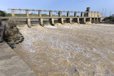 La presa de Alcalá del Río es el principal obstáculo que tienen las angulas para remontar el río Guadalquivir (foto: Jorge Sierra / WWF España).