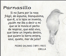 Parnasillo