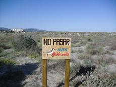 Un cartel informativo advierte de la presencia reproductora del chorlitejo patinegro en la playa del Serradal (foto: C. Vega).