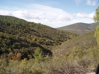 “Navas de Don Diego”, en el término municipal de Los Navalucillos (Toledo), fue uno de los Refugios de Fauna descatalogados como tales por la Junta de Castilla-La Mancha (foto: Ecologistas en Acción).