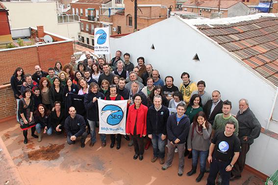 Trabajadores de SEO/BirdLife reunidos en la terraza de la oficina de la ONG en Madrid.