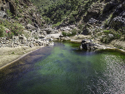 Curso medio del río Guadalmansa, en Sierra Bermeja (Málaga), donde ha sido hallada una nueva población de pez fraile (foto: Diego Rodríguez).