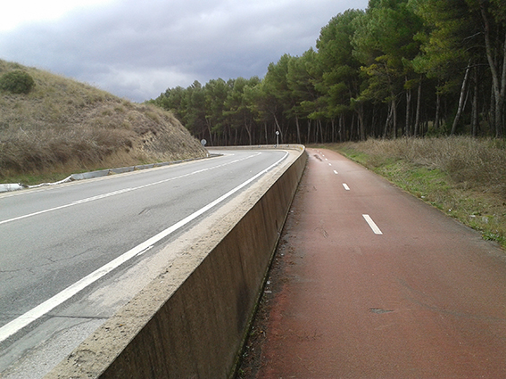 Tramo de la carretera M-301 (San Martín de la Vega, Madrid) donde se producen los atropellos masivos de anfibios (foto: Laura Moreno).