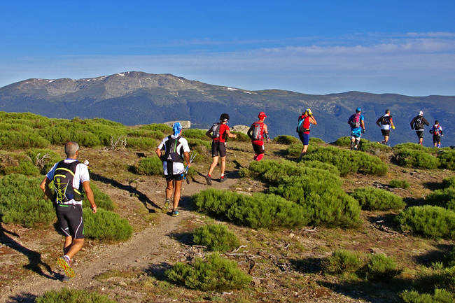 Varios corredores recorren la Cuerda Larga, en el Parque Nacional de la Sierra de Guadarrama, durante el Gran Trail de Peñalara en su edición de 2014 (foto: Julio Vías).