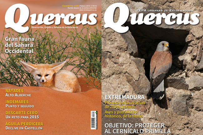 Portada Quercus nº 347 / Enero 2015