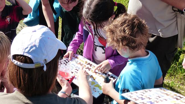 Varios niños aprenden a identificar mariposas en el campo. La sensibilización social es clave para la protección de las mariposas (foto: Ruth Escobés).