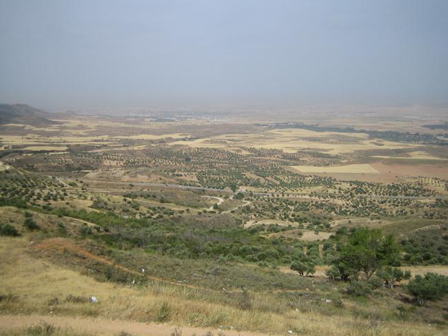 Vista panorámica de un paisaje agrario tradicional mediterráneo, caracterizado por un patrón espacial en mosaico, en Los Santos de la Humosa (Madrid). Foto: Francisco D. Pineda.
