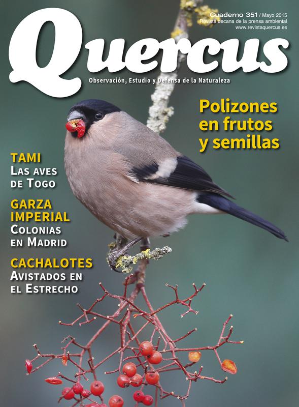 Portada Quercus nº 351 / Mayo 2015