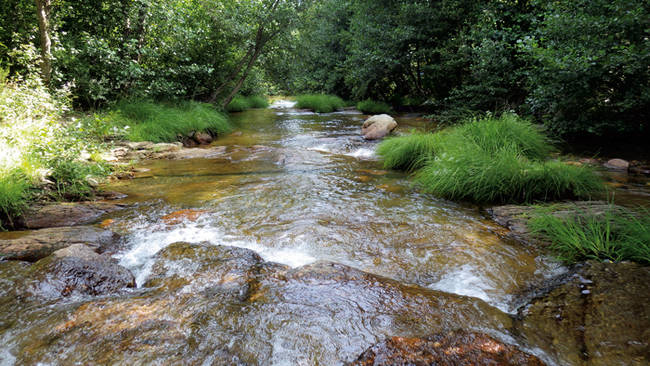 Vista del río Negro, en la provincia de Zamora, cauce sobre el que gravita la amenaza de la captación de agua. (foto: Javier Morales).