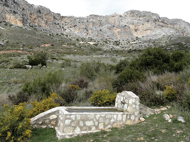 Este pilón-abrevadero construido en el Parque Natural Desfiladero de los Gaitanes (Málaga) beneficiará a los anfibios. Foto: Autores.