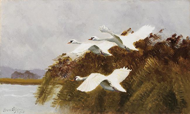 Estos cisnes en vuelo que el sueco Bruno Liljefors pintó hace justo un siglo nos parecen un precioso símbolo de la naturaleza europea.