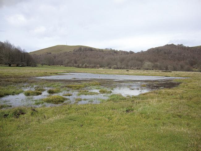 Panorámica de la turbera de Belate (Baztan-Ultzama, Navarra), una zona sobre la que ha trabajado el proyecto LIFE Tremedal (foto: Gestión Ambiental de Navarra).