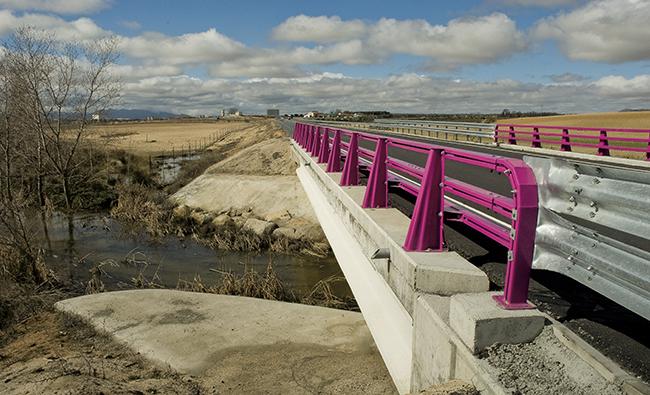 Tramo de la CM-4022, entre las localidades toledanas de Sonseca y Villaminaya. Esta carretera ha permitido detectar cambios en las poblaciones de aves invernantes antes y después de su construcción (foto: diego Perea).