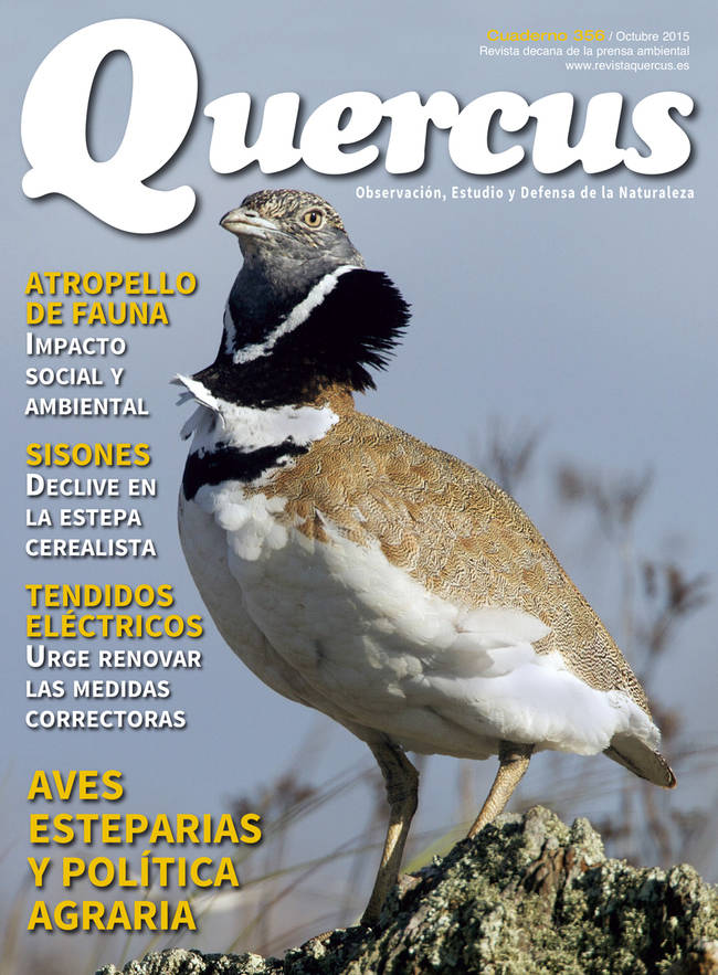 Sumario Quercus nº 356 / Octubre 2015