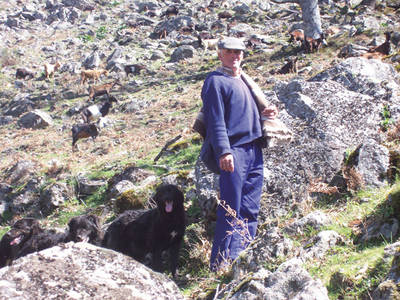 Felipe, uno de los últimos cabreros de Segura de Toro, en el valle del Ambroz (Cáceres).