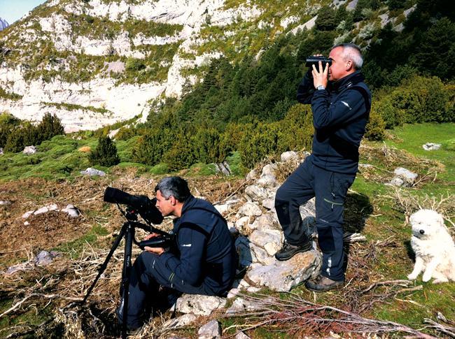 Dos naturalistas vigilan un territorio de quebrantahuesos en el Pirineo aragonés (foto: FCQ).