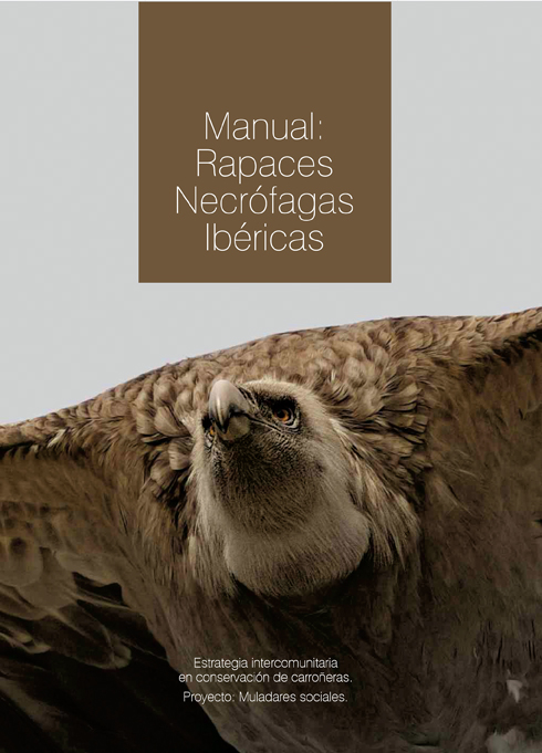 Las rapaces necrófagas ibéricas, en un manual 