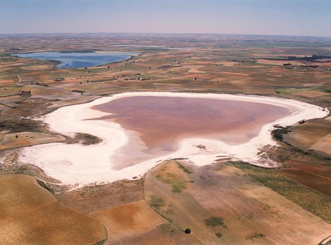 Laguna de Alcahozo, en Mota del Cuervo (Cuenca). Los terrenos que rodean este humedal hipersalino y estacional están colonizados por interesantes formaciones de plantas halófilas. En la parte superior izquierda se divisa la laguna de Manjavacas (foto: S.A.F. Juan I. Rozas).