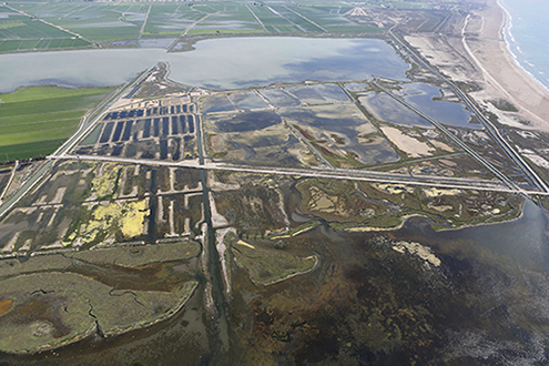 Imagen aérea de la zona de la piscifactoría abandonada y de las salinas de Sant Antonio, en una de las zonas de actuación de LIFE+ Delta Lagoon en el Delta del Ebro. Al fondo se observa la laguna de La Tancada (foto: Mariano Cebolla).