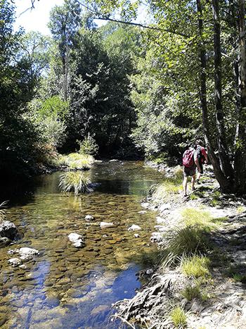 Las primeras reservas naturales fluviales españolas protegen tramos de ríos en excelente conservación. En la imagen, sector del Alto Alberche (Ávila), en la cuenca del Tajo (foto: José Antonio Montero).