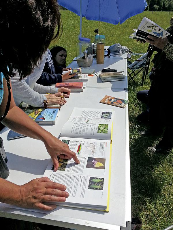 Varios aficionados participan en un taller práctico sobre mariposas (foto: Asociación Alas).