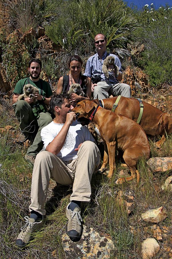 Los cuatro firmantes de este artículo con varios pollos de búho real. Arriba, José María Fedriani; en el centro, Pedro J. Garrote y María del Mar Delgado; debajo, Vincenzo Penteriani con los perros Kuu y Karhu.