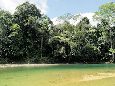 La Reserva Natural de Bladen es una de las áreas de Belice más valiosas y con protección legal más estricta (foto: Sergio Rejado).