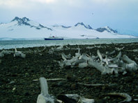 Profesores de geología en la Antártida